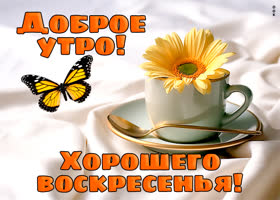 Picture волшебная открытка отправляет пожелания с хорошим воскресеньем