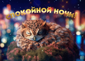 Postcard волшебная открытка с совой спокойной ночи