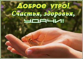 Открытка волшебная открытка доброе утро