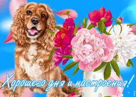 Открытка восхитительная картинка хорошего дня