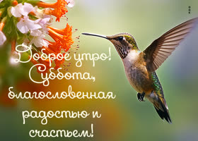 Postcard восхищающая открытка с субботним утром