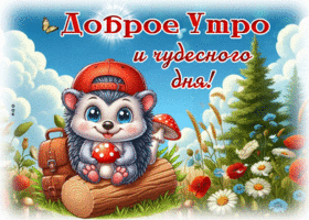 Postcard восхищенная гиф-открытка, доброго утра и отличного дня