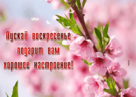 Picture восхитительная гиф-открытка, самого лучшего воскресенья