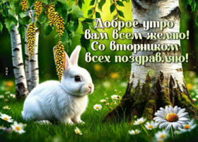 Postcard воздушная гиф-открытка, доброе утро вторника