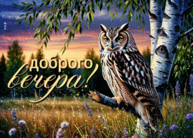 Picture воздушная гиф-открытка, доброго всем вечера желает