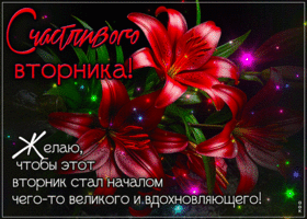 Postcard воздушная гиф-открытка, счастливого вторника