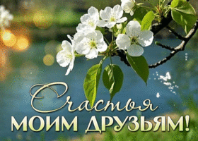 Postcard всепроникающая гиф-открытка, счастья моим друзьям