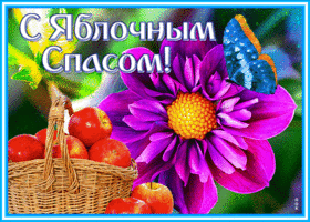 Картинка выразительная открытка яблочный спас