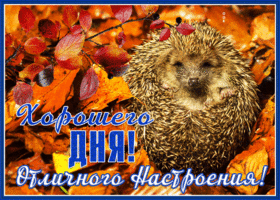 Postcard хорошего дня