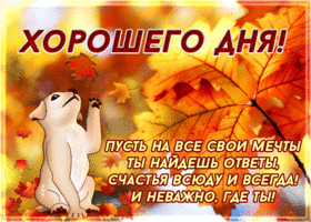 Picture хорошего дня