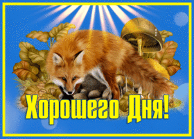 Picture хорошего дня