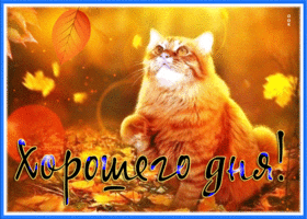 Postcard хорошего дня
