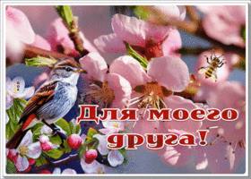 Postcard яркая гиф-открытка моему другу