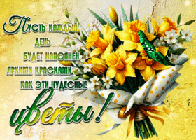 Picture яркая гиф-открытка, пусть каждый день будет полон яркими красками