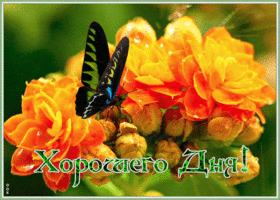 Открытка яркая картинка хорошего дня