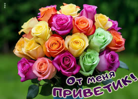 Picture яркая картинка от меня приветик