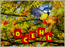 Picture яркая картинка с осенью и птичкой