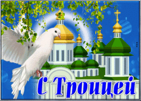 Postcard яркая картинка с троицей