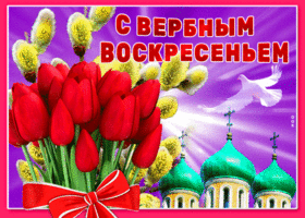 Картинка яркая картинка с вербным воскресеньем