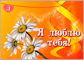 Картинка яркая картинка я тебя люблю