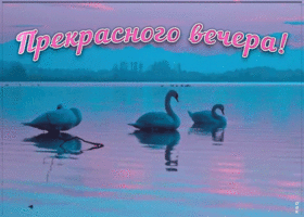 Картинка яркая открытка добрый вечер