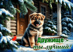 Postcard яркая открытка, другу для хорошего настроения!