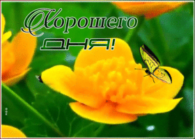 Открытка яркая открытка хорошего дня