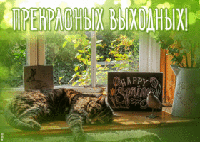 Открытка яркая открытка прекрасных выходных