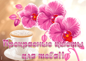 Открытка яркая открытка с орхидеями