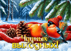 Picture яркая открытка, хороших и радостных выходных