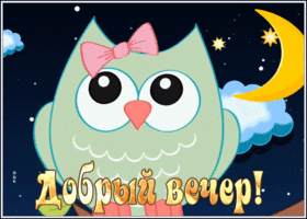 Picture забавная картинка добрый вечер с совой