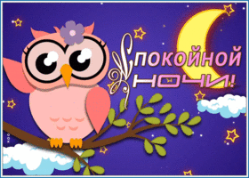 Открытка забавная картинка спокойной ночи с совой