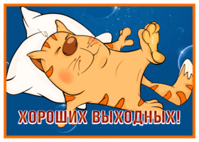 Postcard забавная картинка хороших выходных с котиком
