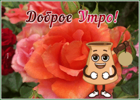 Postcard забавная открытка доброе утро с анимацией