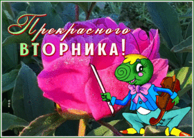 Postcard забавная открытка прекрасного вторника с кузнечиком