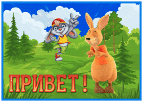 Picture забавная открытка привет с кенгуру
