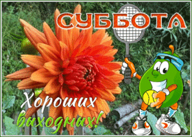 Picture забавная открытка с субботой - хороших выходных