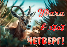 Postcard забавная открытка удачи в этот четверг!