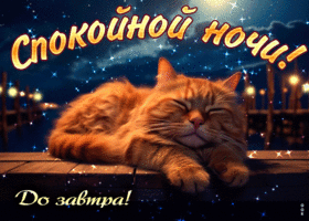 Picture заботливая открытка спокойной ночи! до завтра