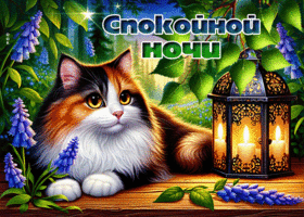 Picture задушевная гиф-открытка, спокойной летней ночи