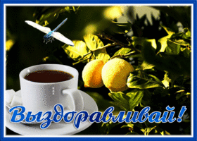 Postcard замечательная картинка выздоравливай с лимонами