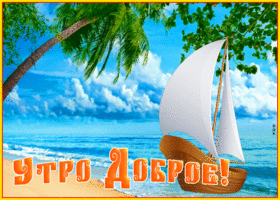 Picture замечательная открытка доброе утро с пальмой