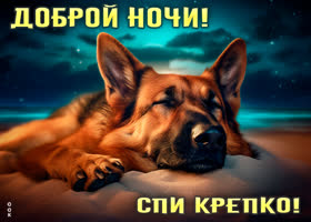 Postcard замечательная открытка доброй ночи! спи крепко!