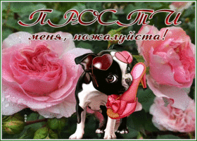 Postcard замечательная открытка прости меня, пожалуйста, с розами