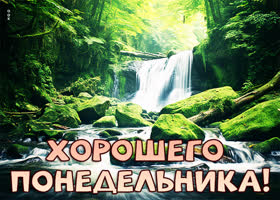 Postcard замечательная открытка хорошего понедельника