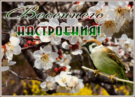 Открытка замечательная картинка для настроения