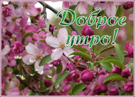 Картинка замечательная картинка доброе утро