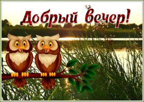 Картинка замечательная картинка добрый вечер с природой