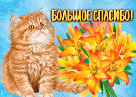 Открытка замечательная картинка спасибо
