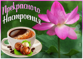 Открытка замечательная открытка для настроения